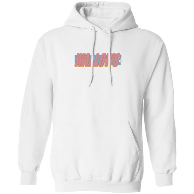 Wallows Merch Wallows Warped Logo Hoodie Sweatshirt