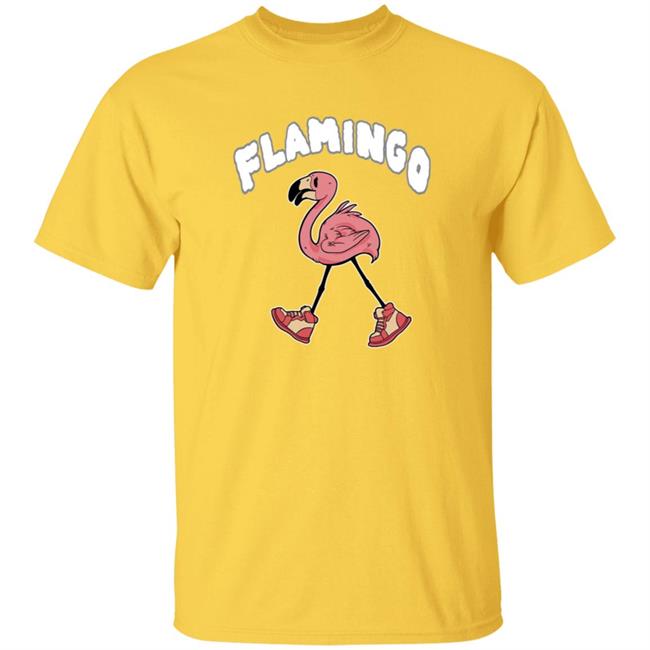 Flim Flam Merch Boot Boy Tee Shirt Flim Flam Merch Boot Boy Tee Shirt